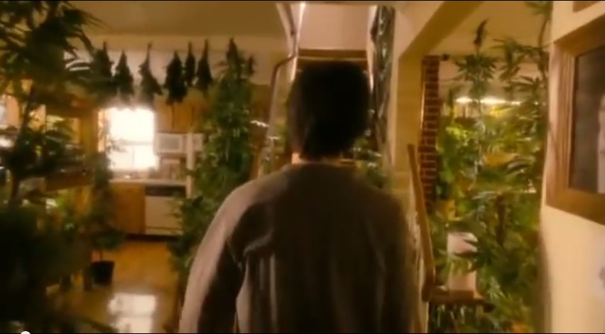 我家种大麻剧照的剧照