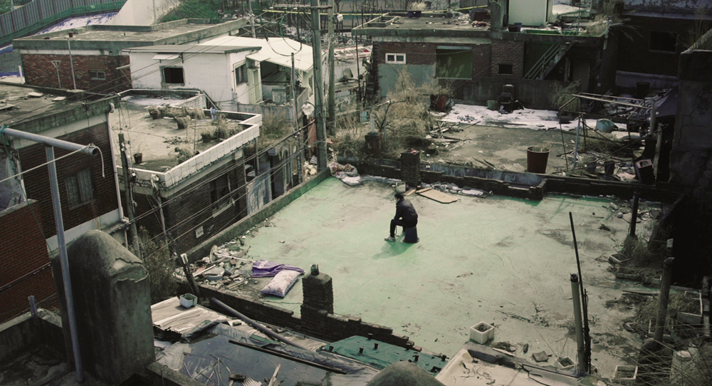 野花剧照的剧照