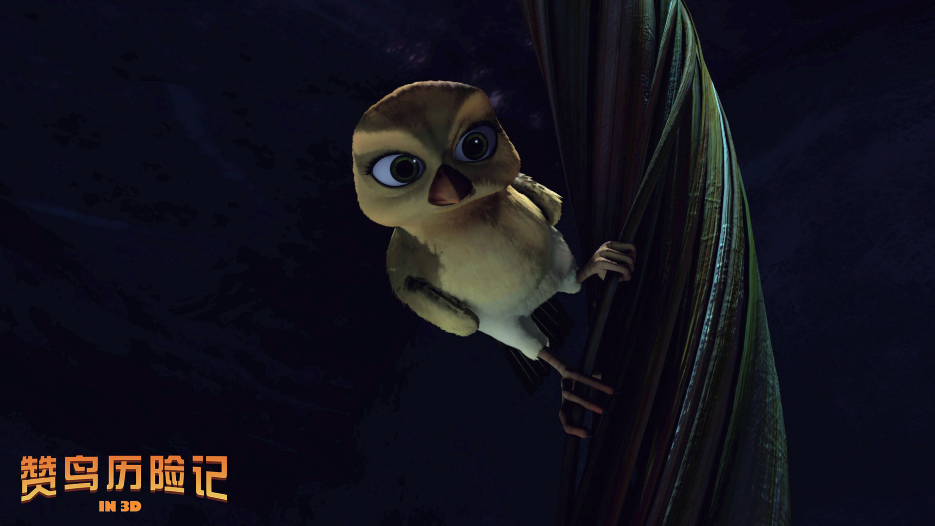 赞鸟历险记剧照的剧照