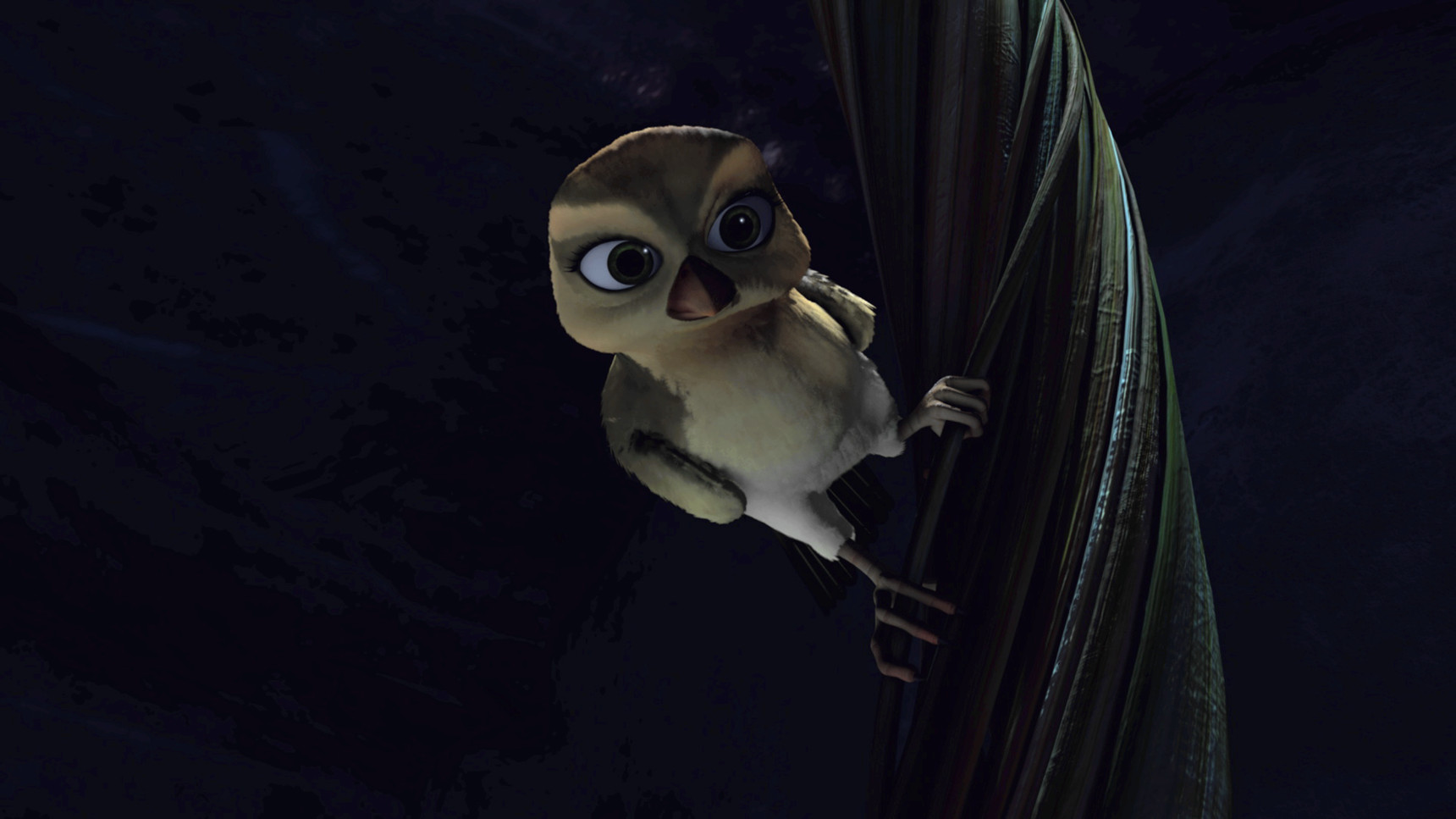 赞鸟历险记剧照的剧照