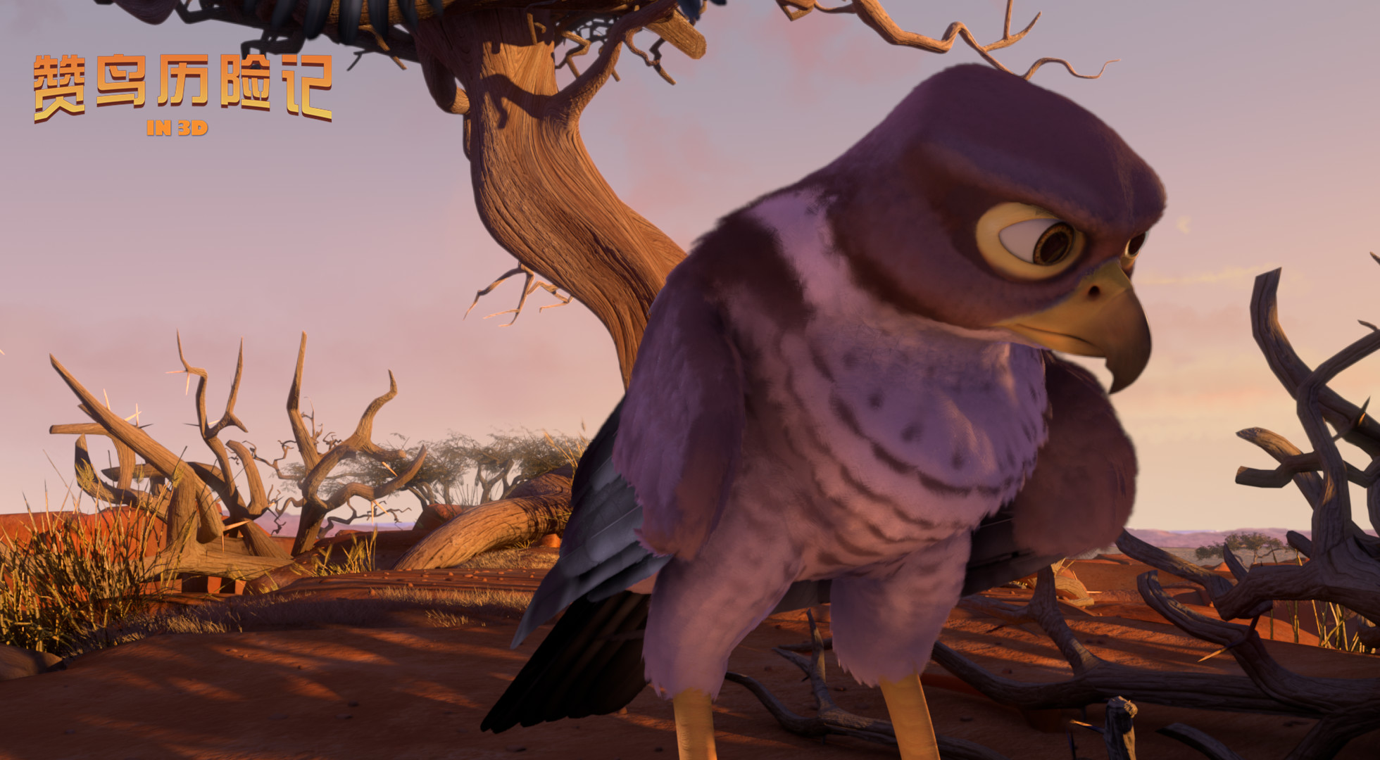 赞鸟历险记剧照的剧照