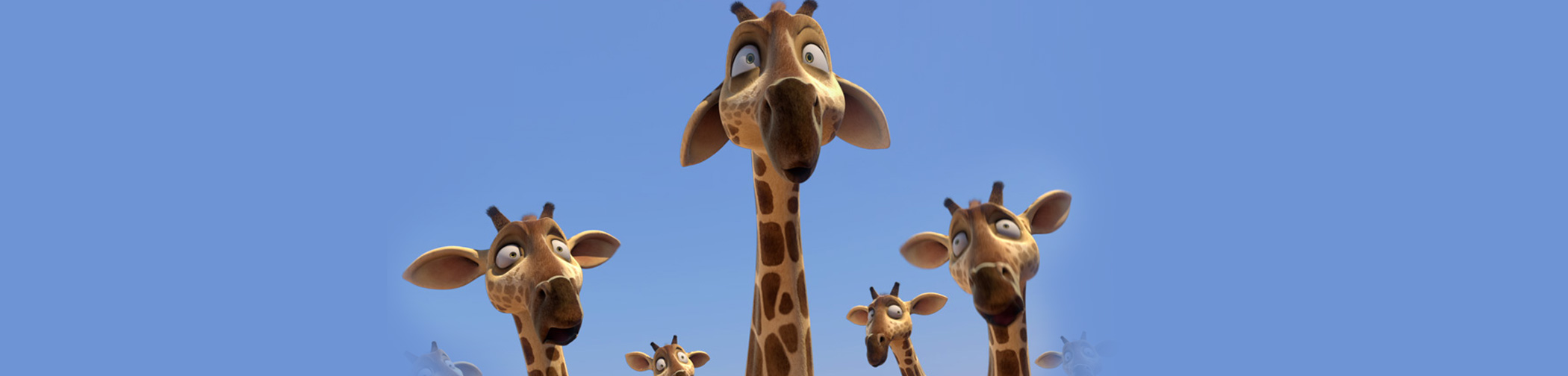 赞鸟历险记剧照的剧照