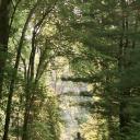 机器人与弗兰克剧照