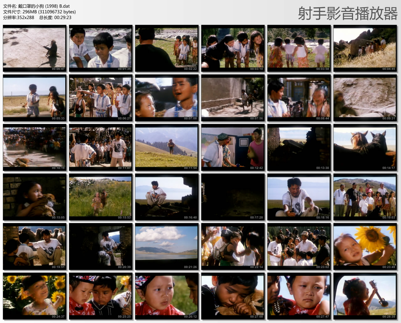 戴口罩的小狗剧照的剧照