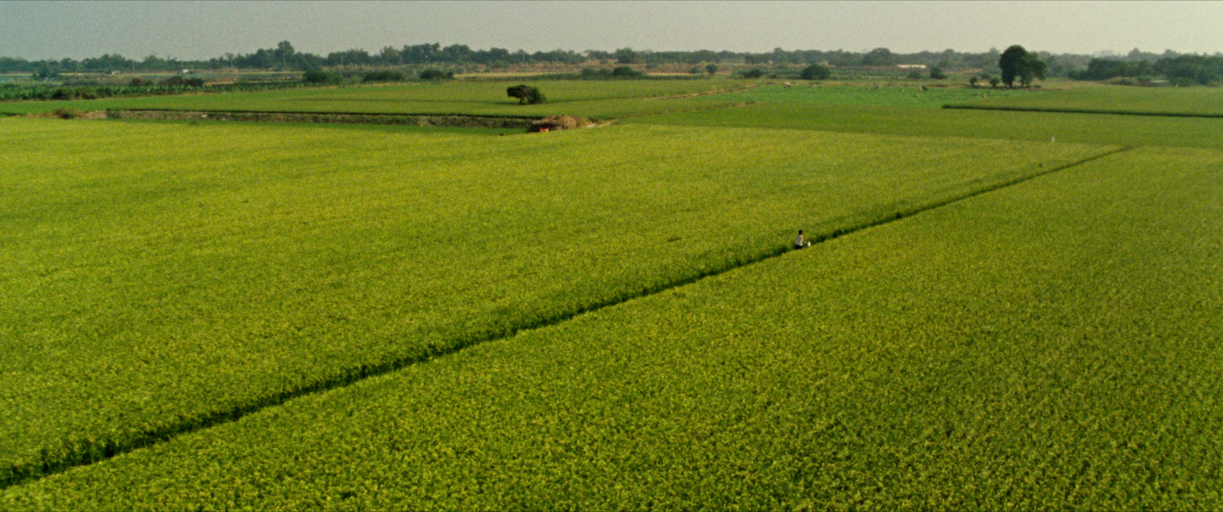 虎尾剧照的剧照