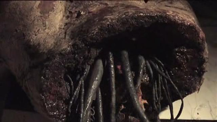 粘液剧照的剧照