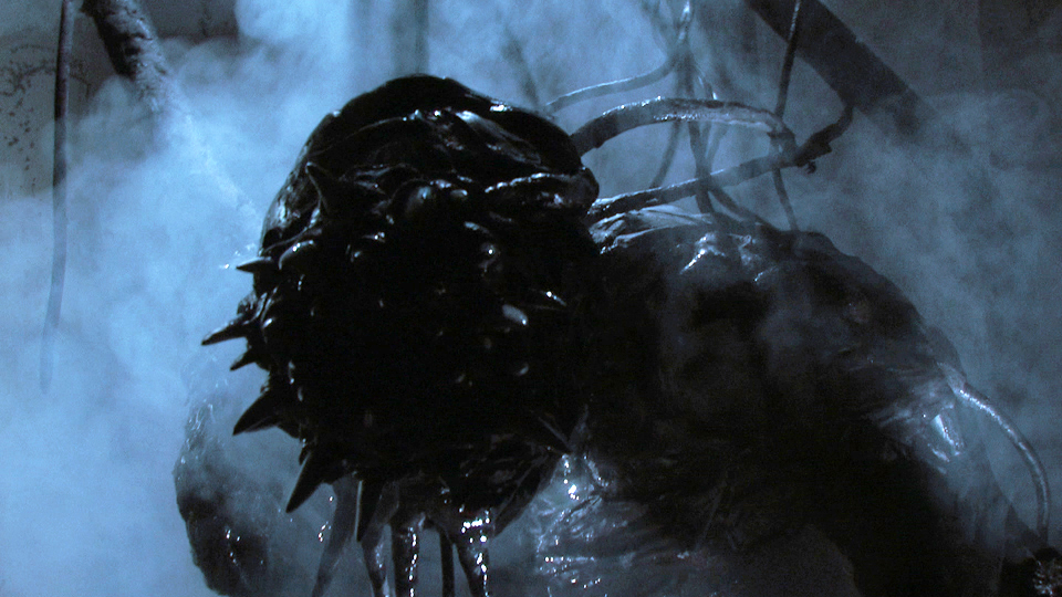 粘液剧照的剧照