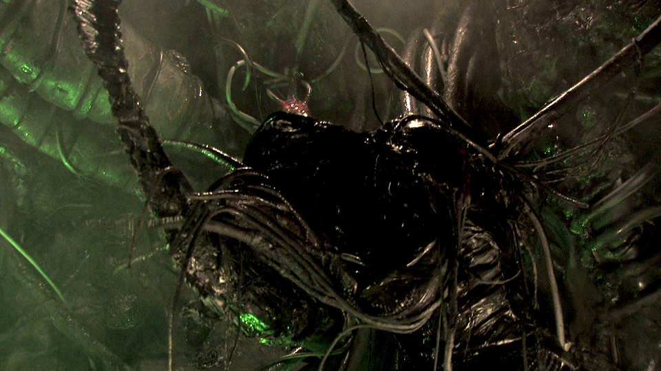 粘液剧照的剧照