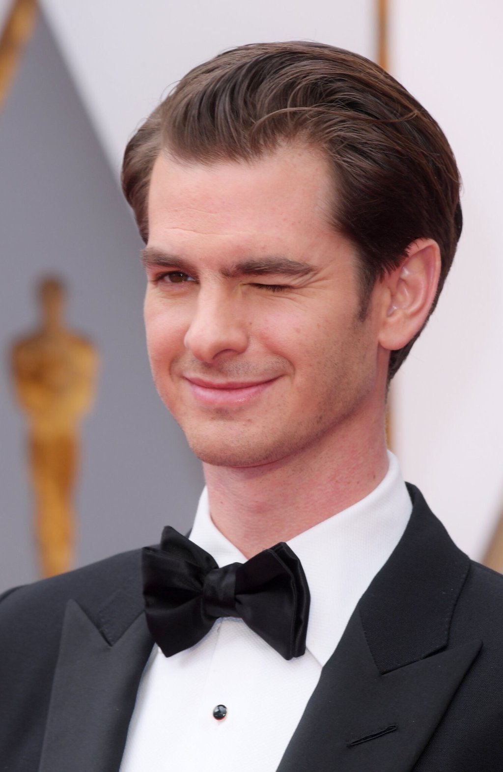 第89届奥斯卡颁奖典礼剧照的剧照