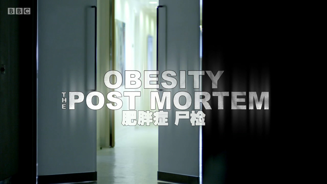 解剖肥胖剧照的剧照