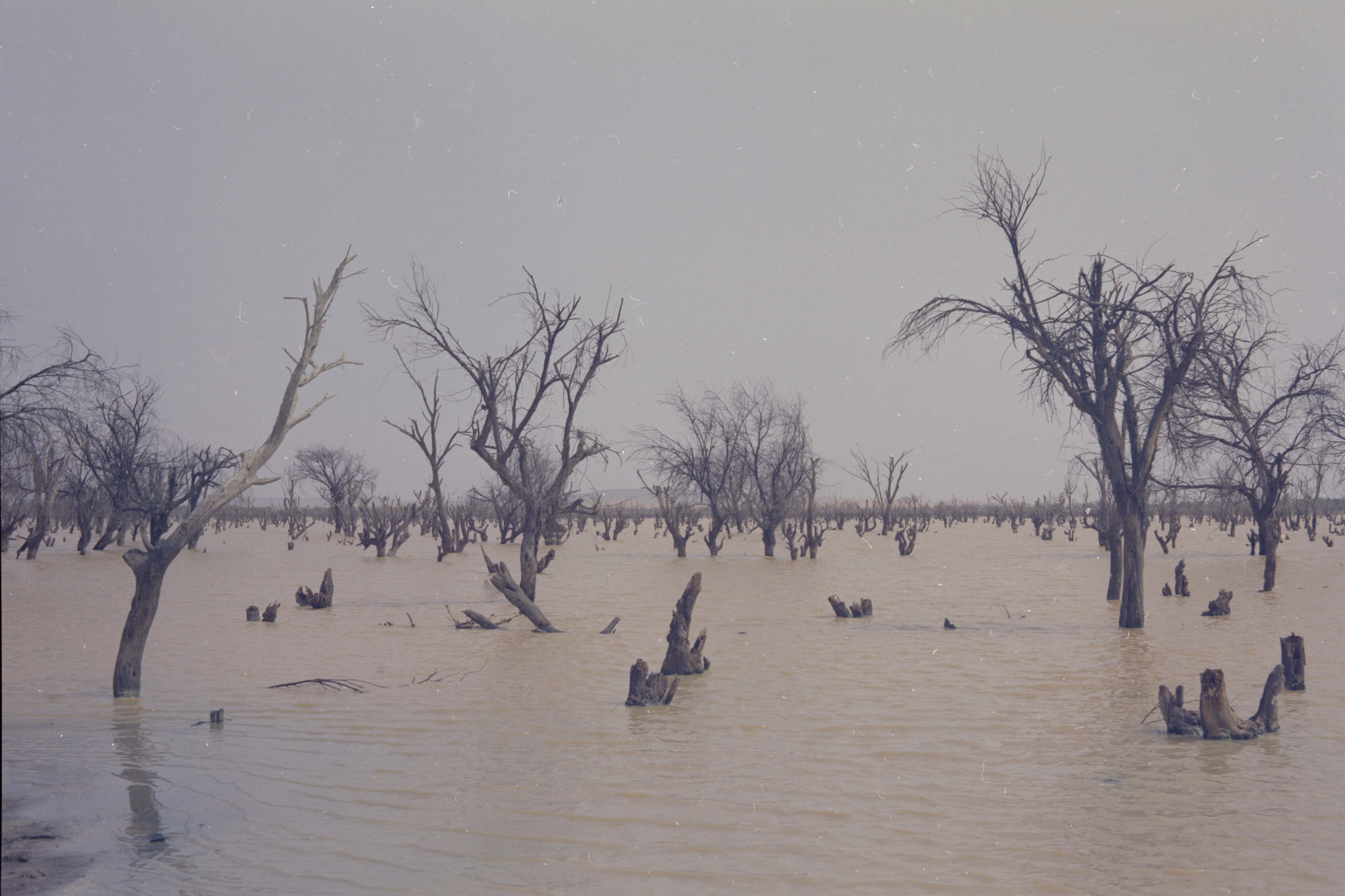 创世纪剧照的剧照