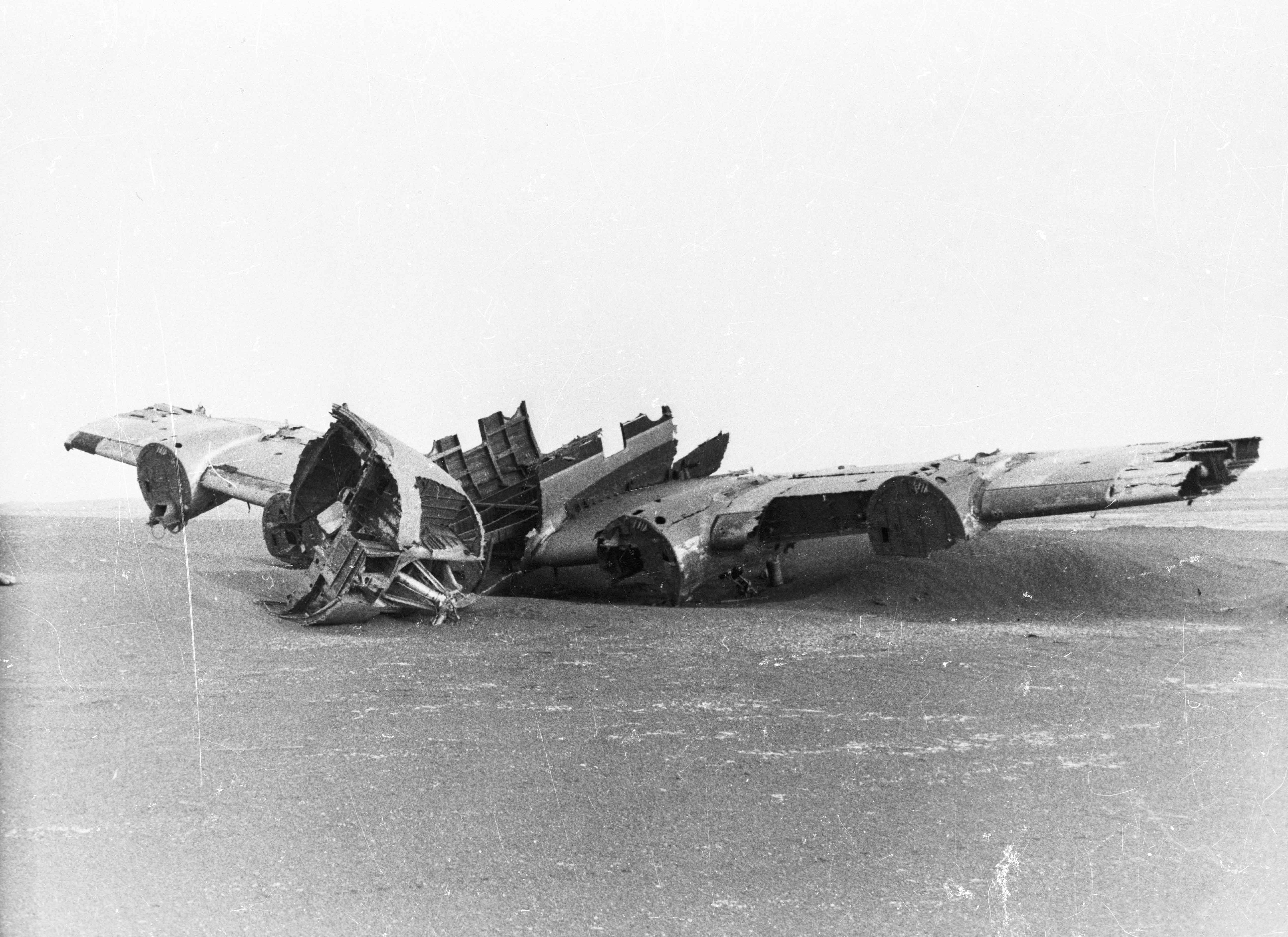 创世纪剧照的剧照