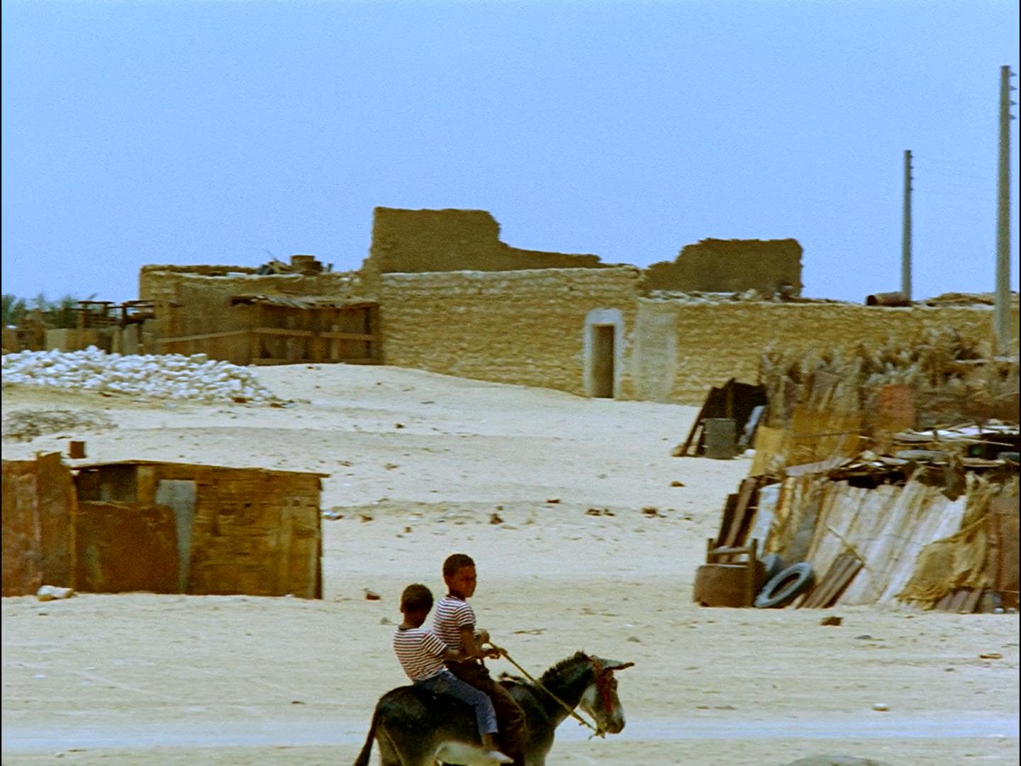 创世纪剧照的剧照