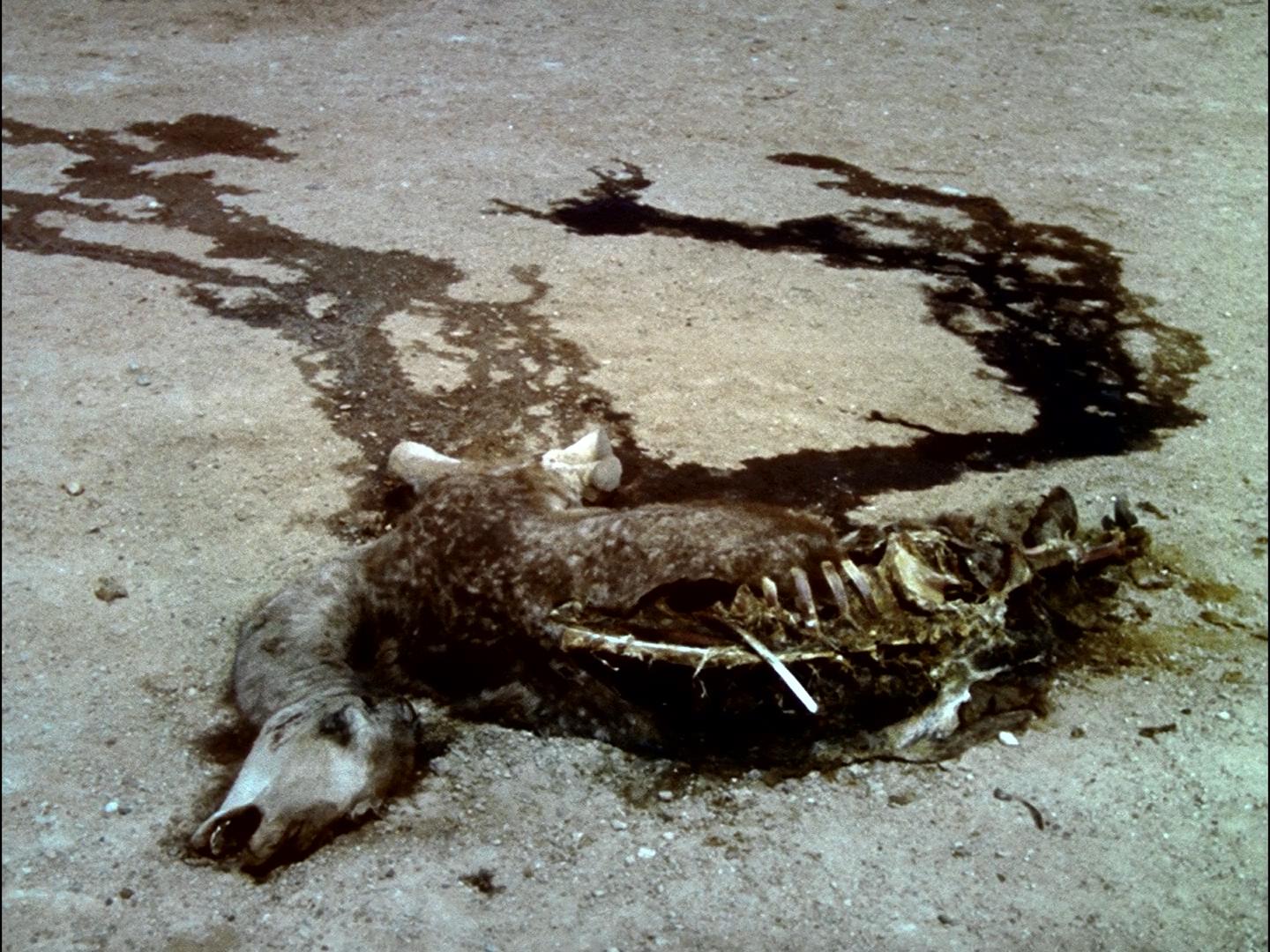 创世纪剧照的剧照