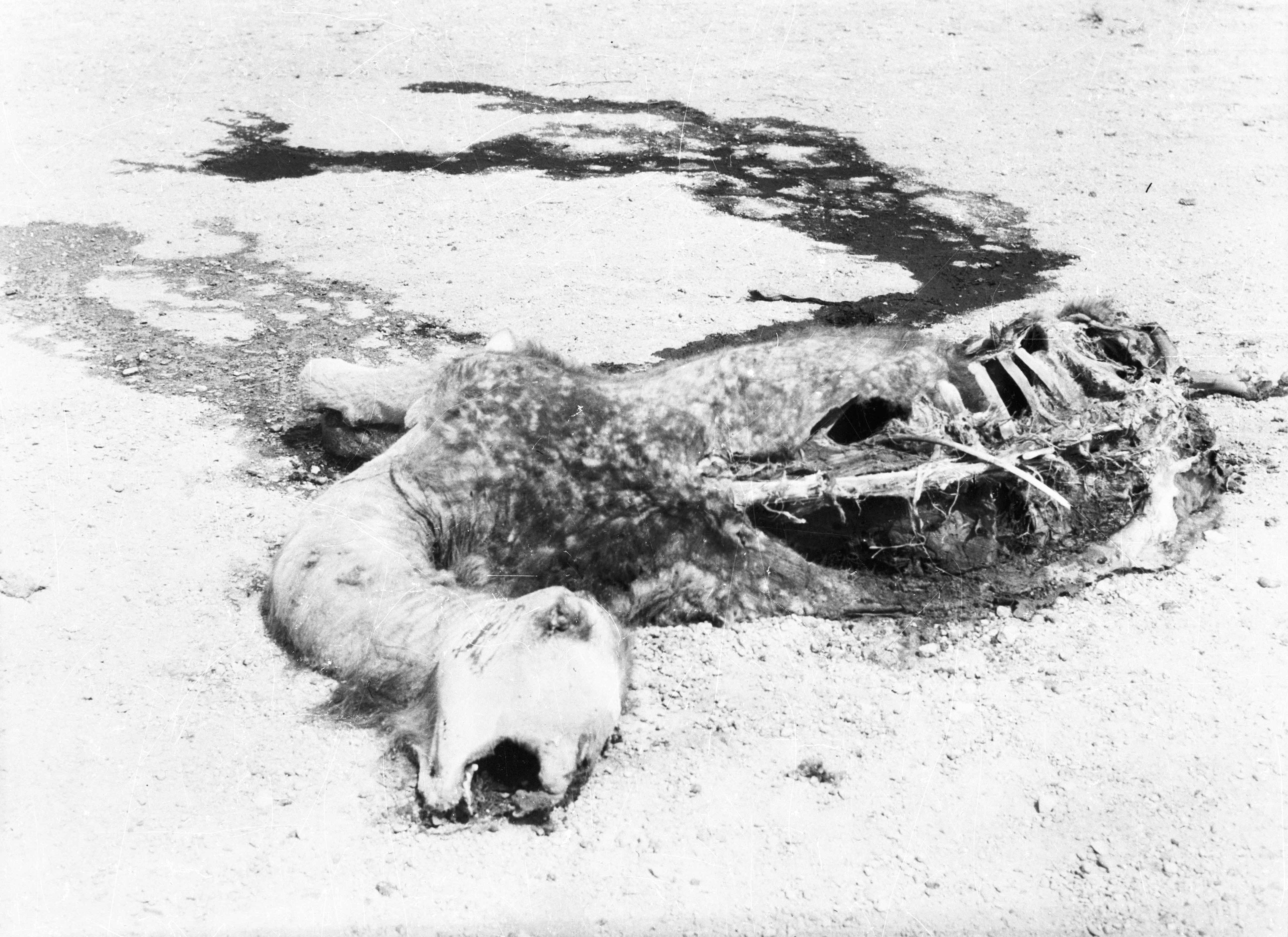 创世纪剧照的剧照