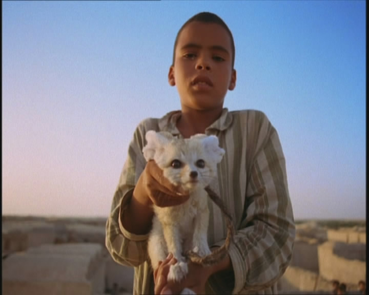 创世纪剧照的剧照