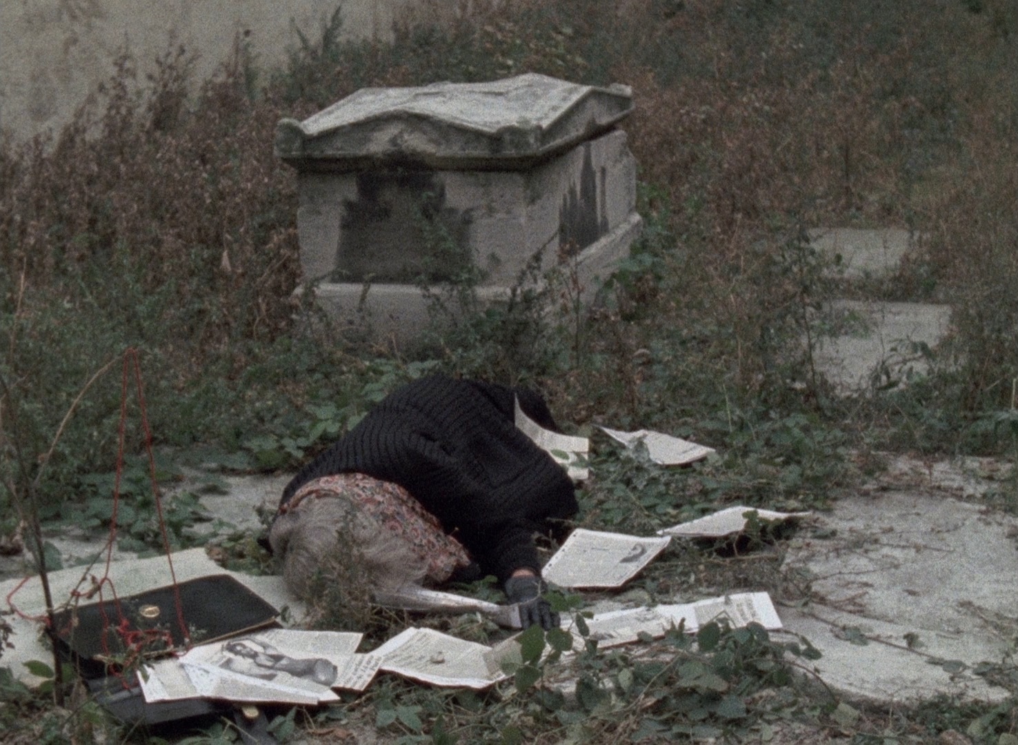 北方的桥剧照的剧照