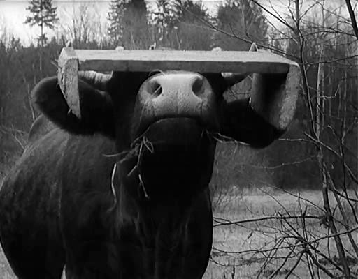 旧世界群像剧照的剧照