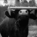 旧世界群像剧照