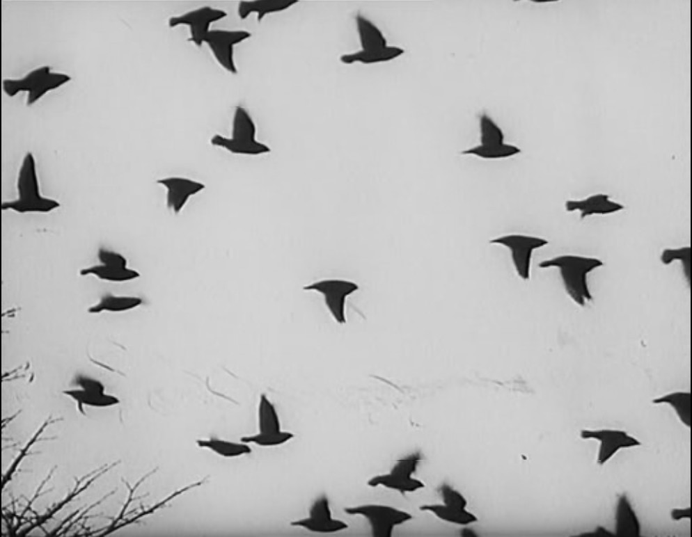 旧世界群像剧照的剧照