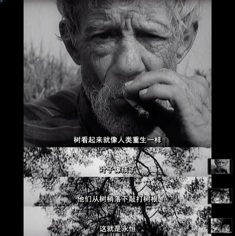 旧世界群像剧照的剧照