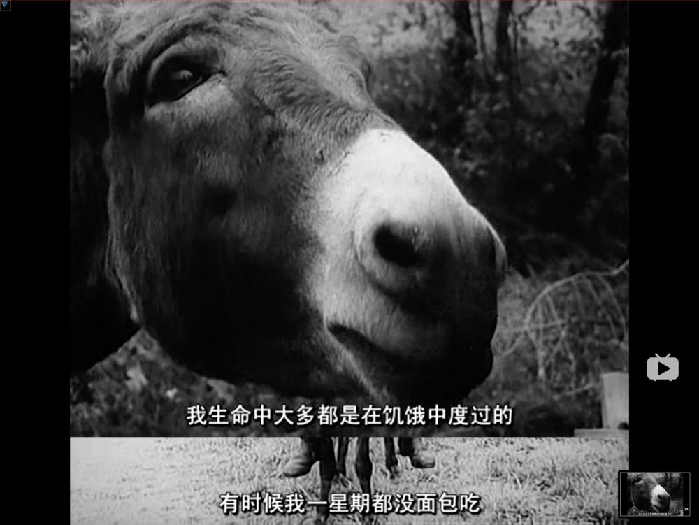 旧世界群像剧照的剧照