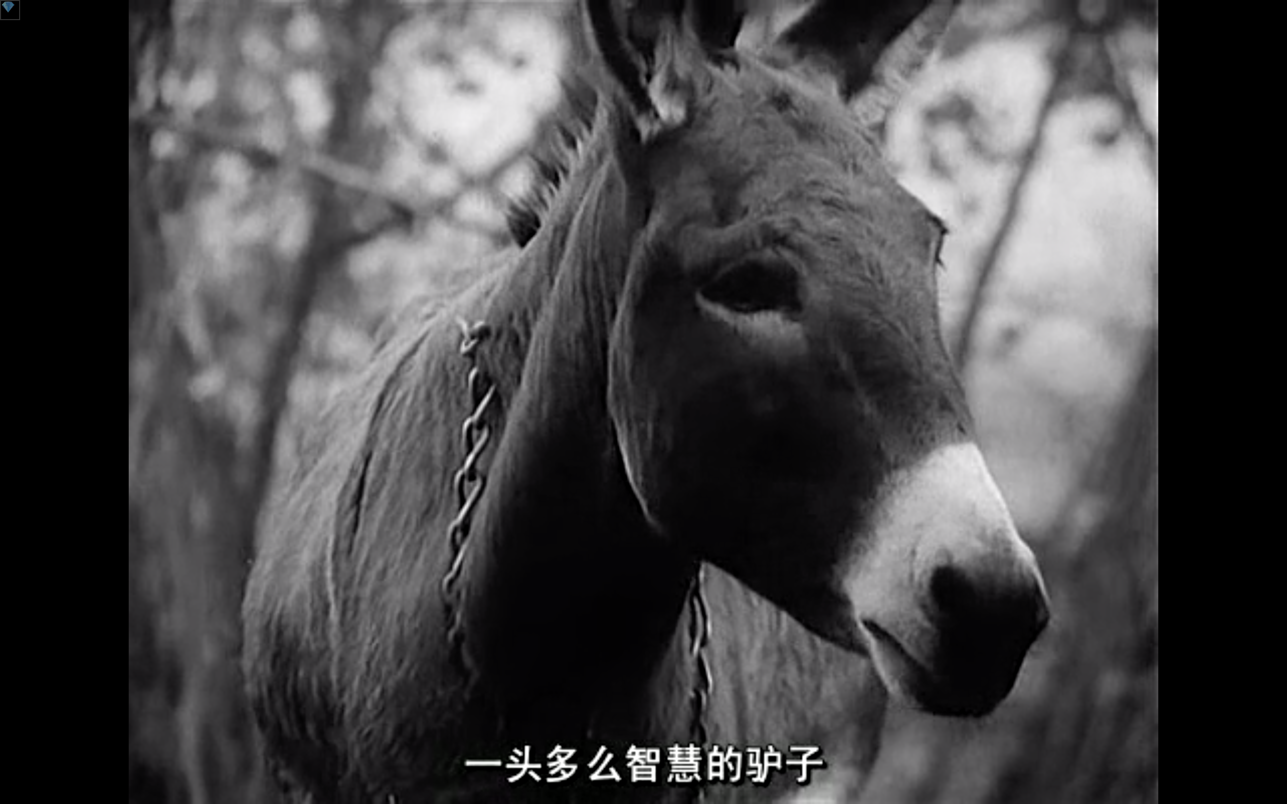 旧世界群像剧照的剧照