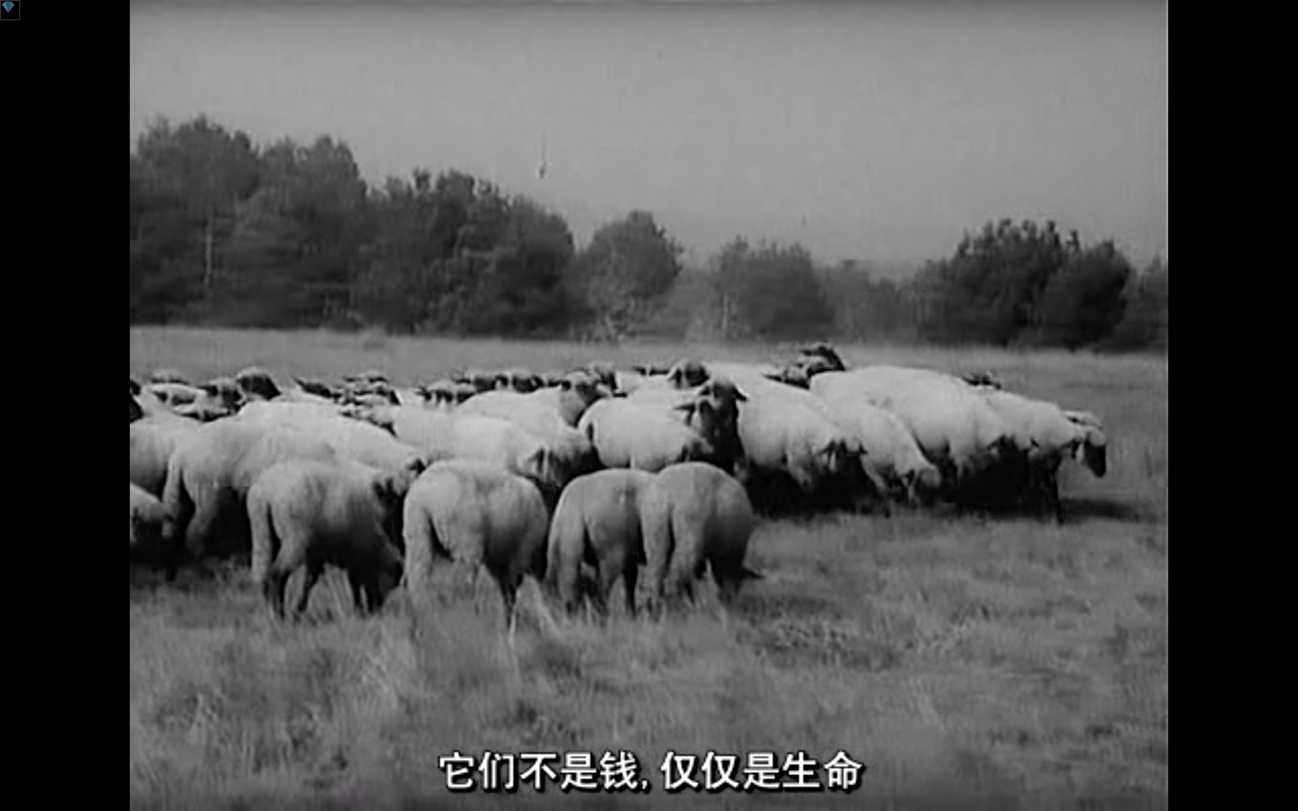 旧世界群像剧照的剧照