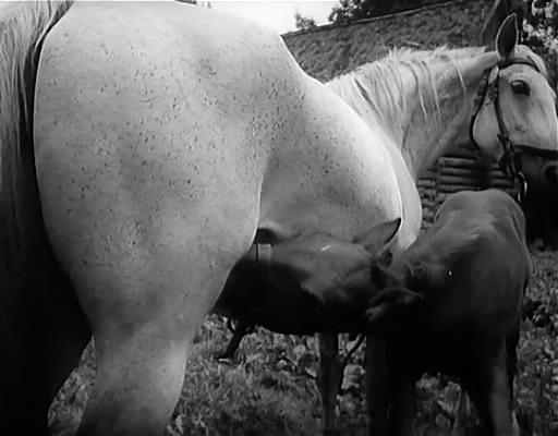 旧世界群像剧照的剧照