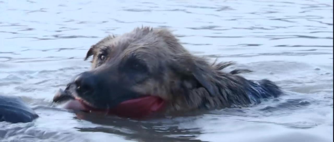 一八九四·甲午大海战剧照的剧照