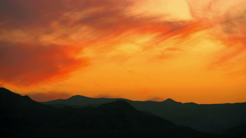 暴力执法剧照的剧照