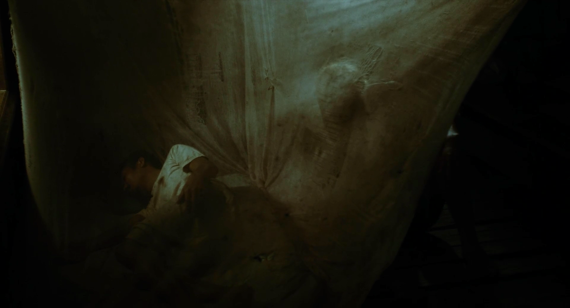 蝠鲼剧照的剧照