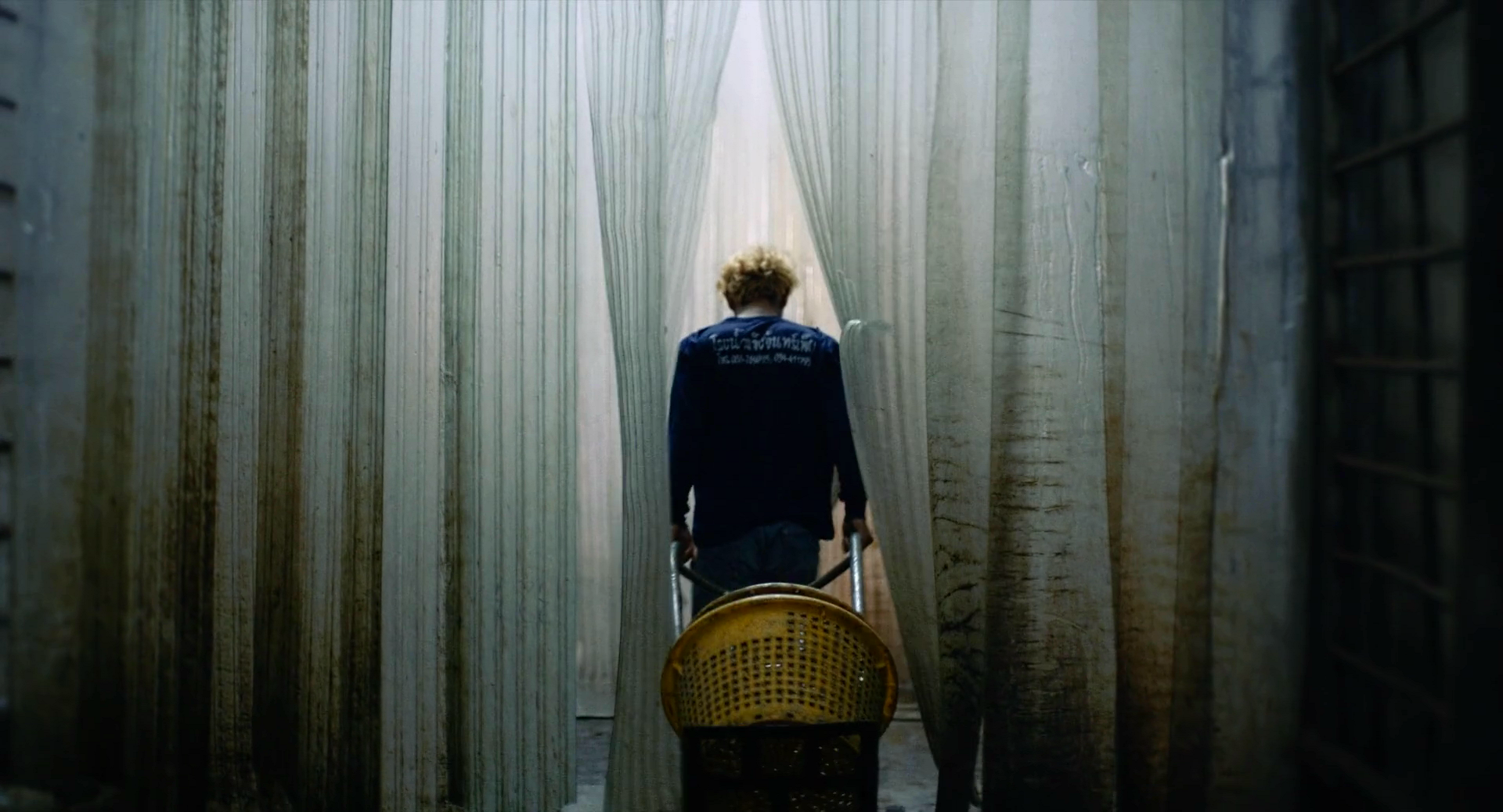 蝠鲼剧照的剧照