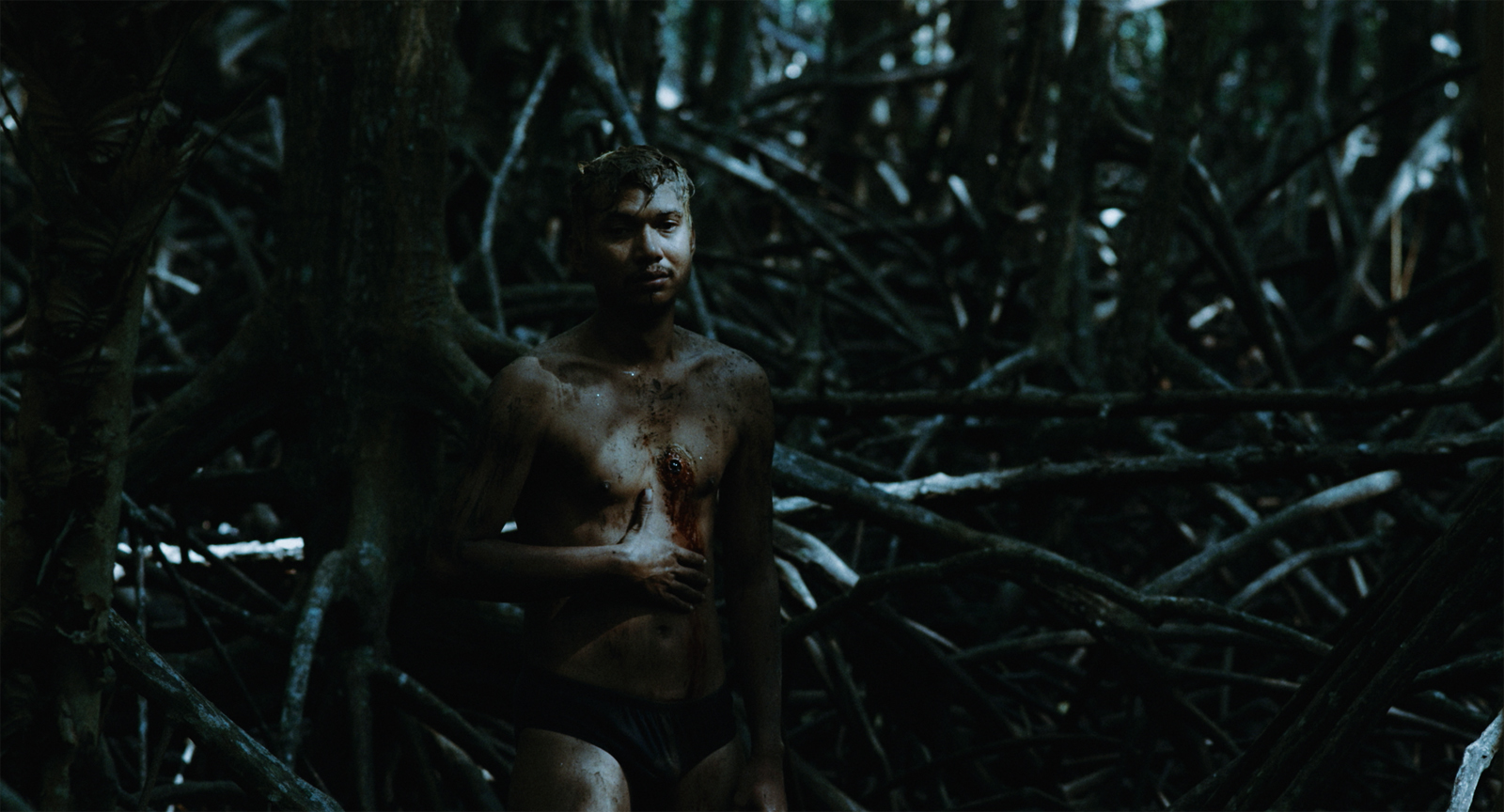 蝠鲼剧照的剧照