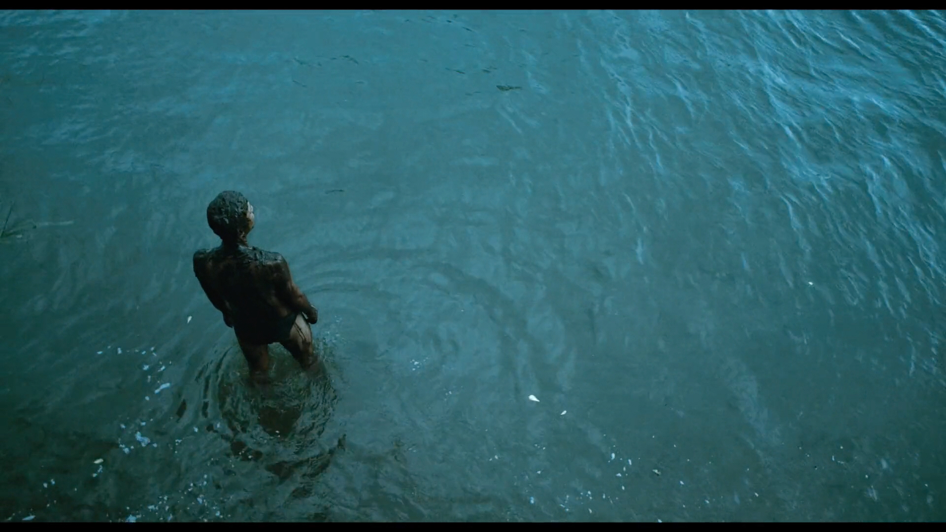 蝠鲼剧照的剧照