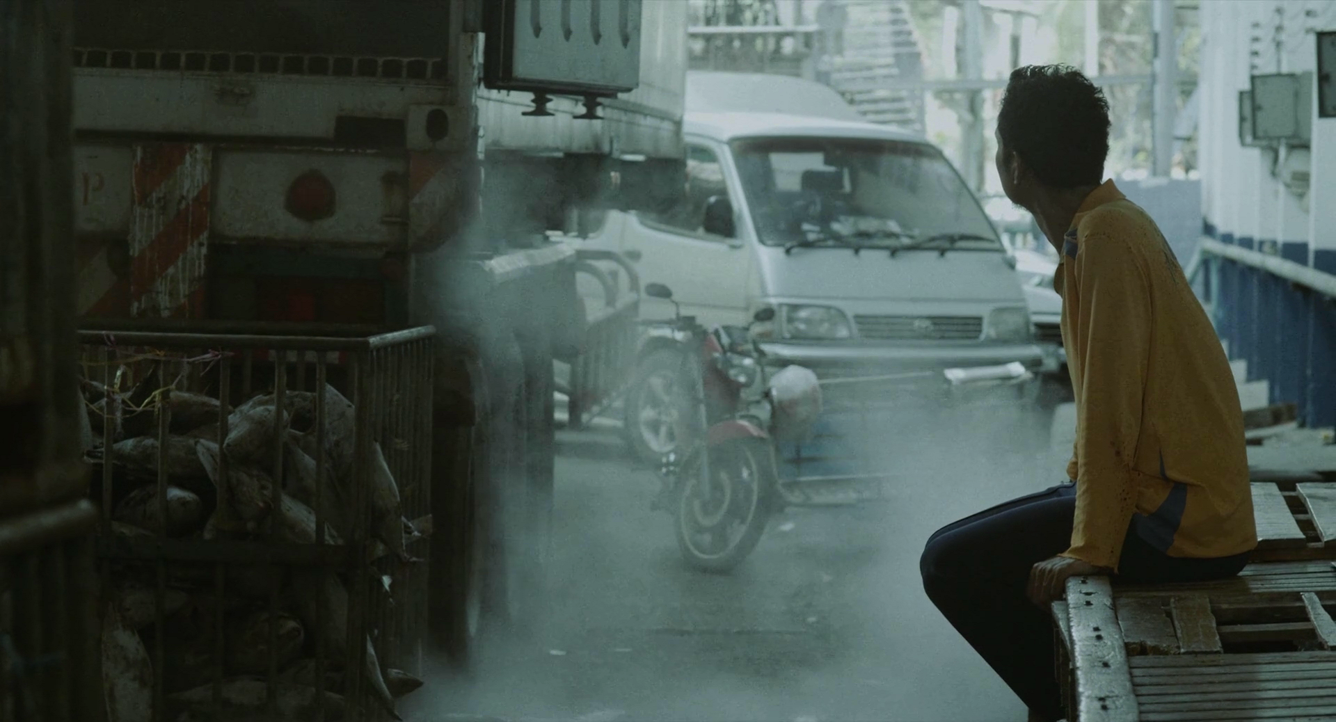 蝠鲼剧照的剧照