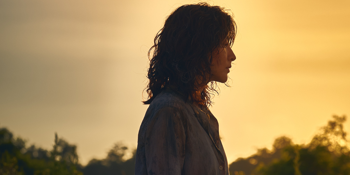 请寻找我剧照的剧照