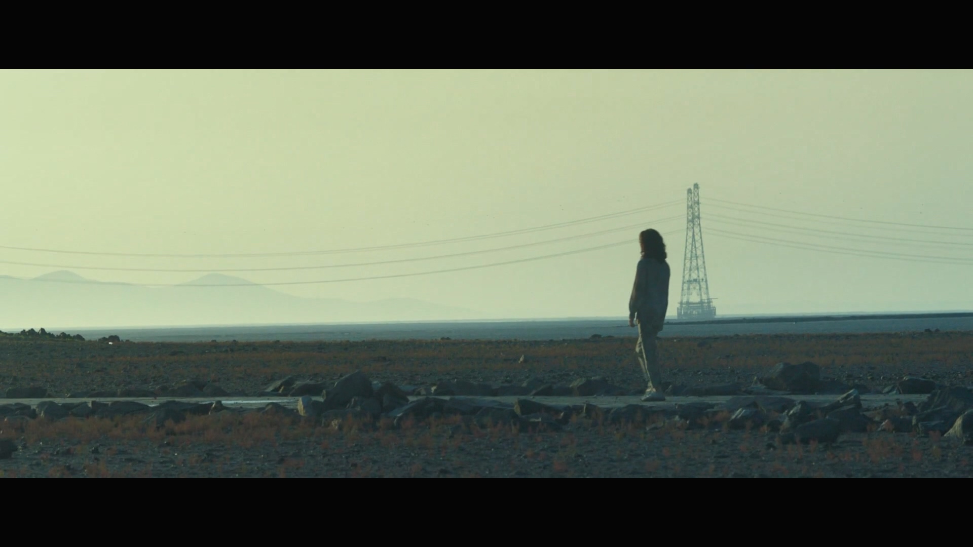 请寻找我剧照的剧照