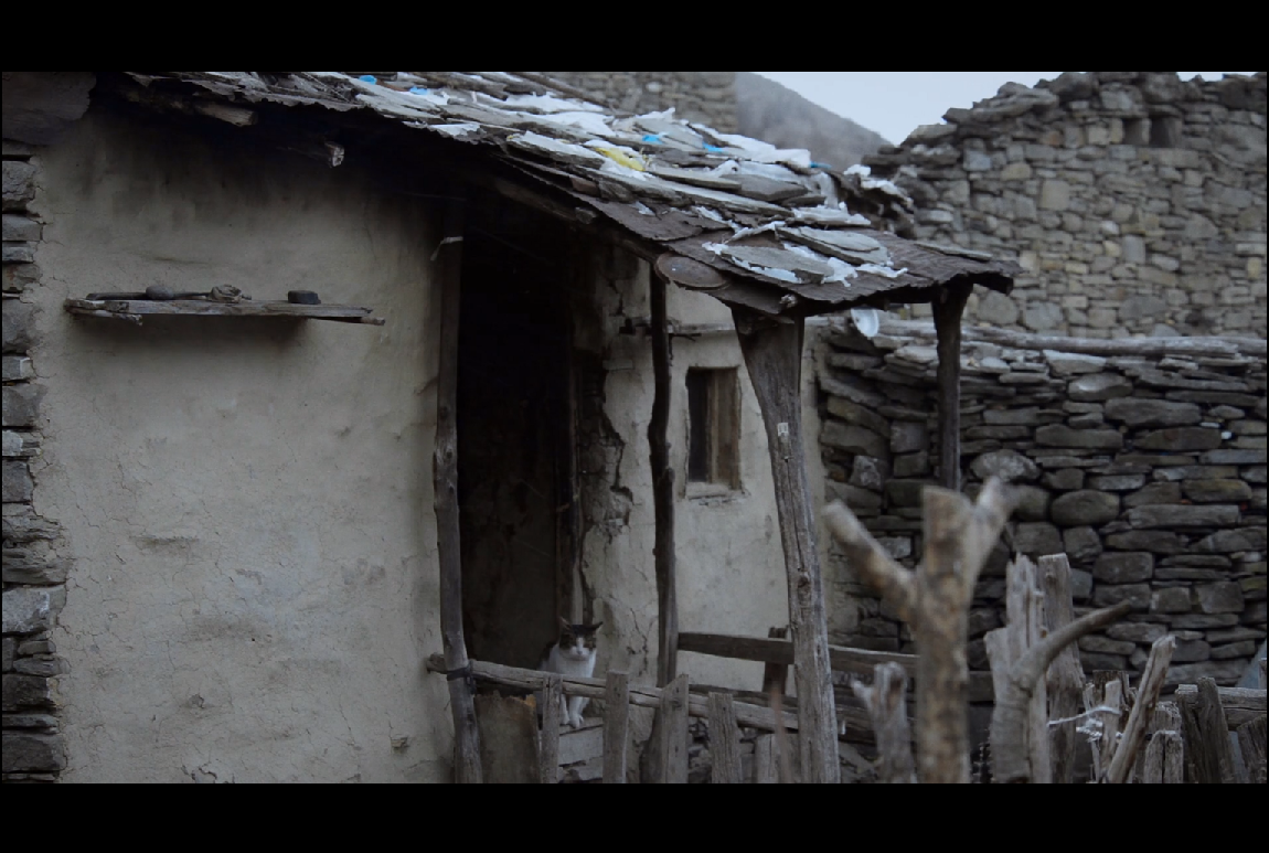 蜂蜜之地剧照的剧照