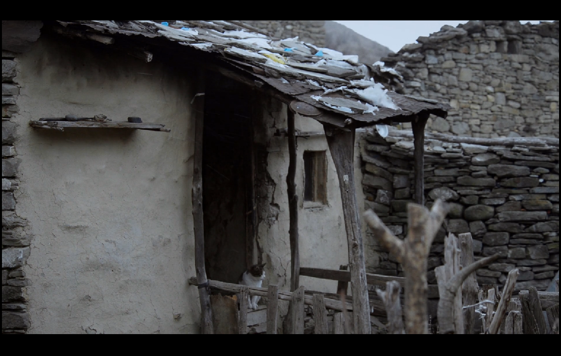 蜂蜜之地剧照的剧照