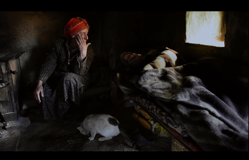 蜂蜜之地剧照的剧照