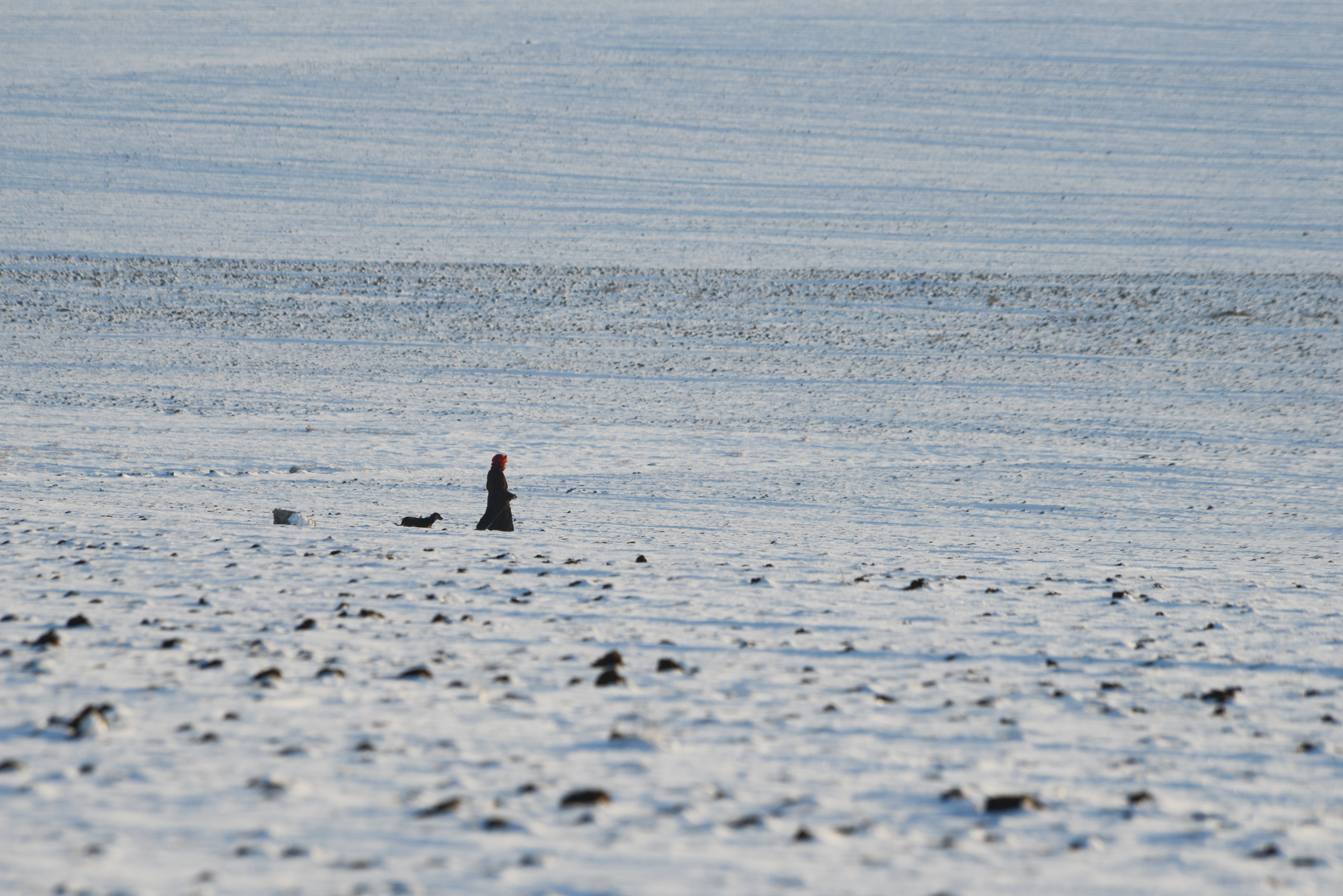 蜂蜜之地剧照的剧照