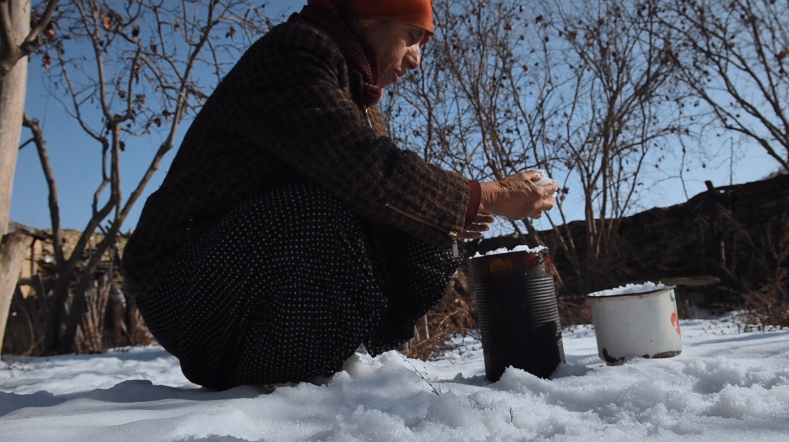 蜂蜜之地剧照的剧照