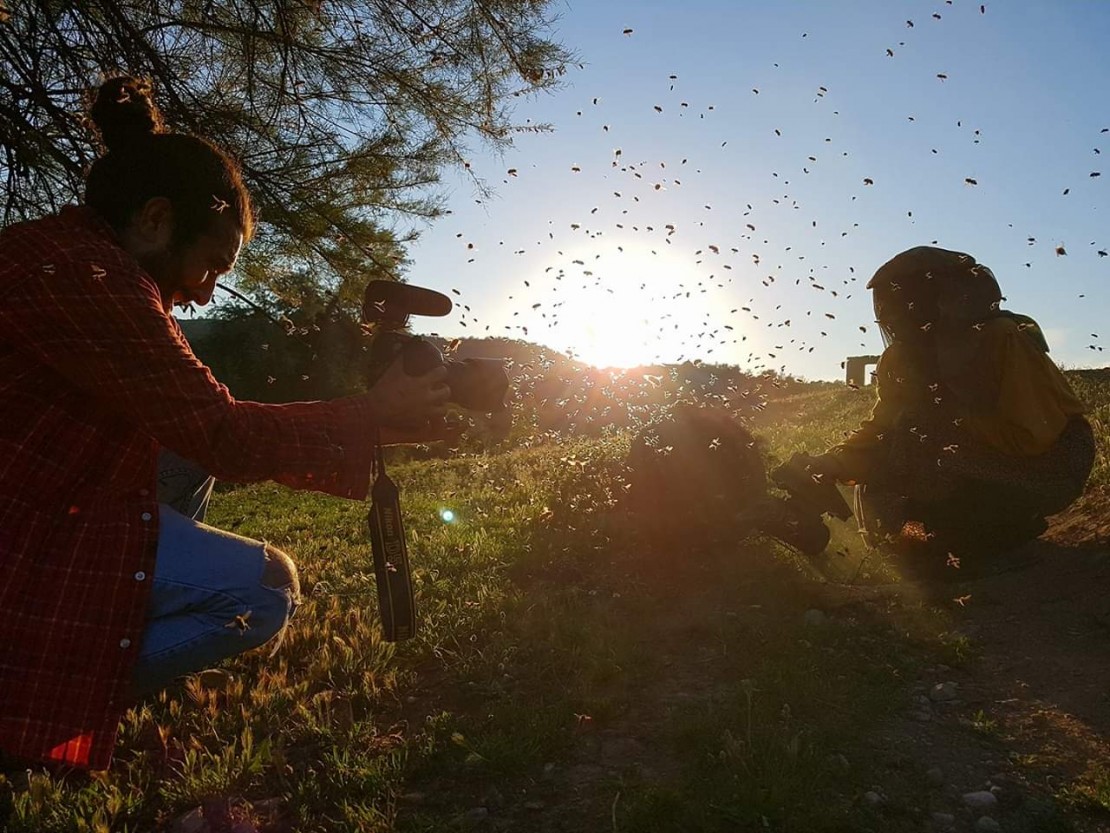 蜂蜜之地剧照的剧照