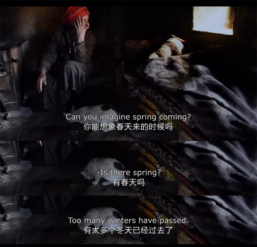 蜂蜜之地剧照的剧照