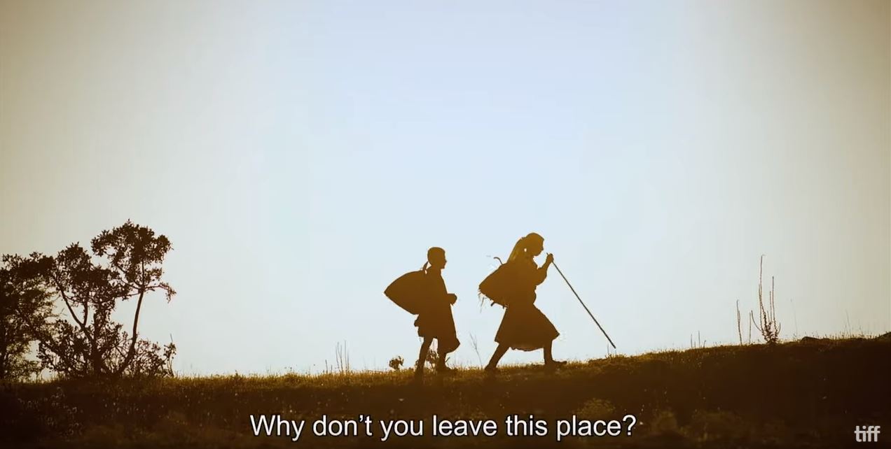 蜂蜜之地剧照的剧照