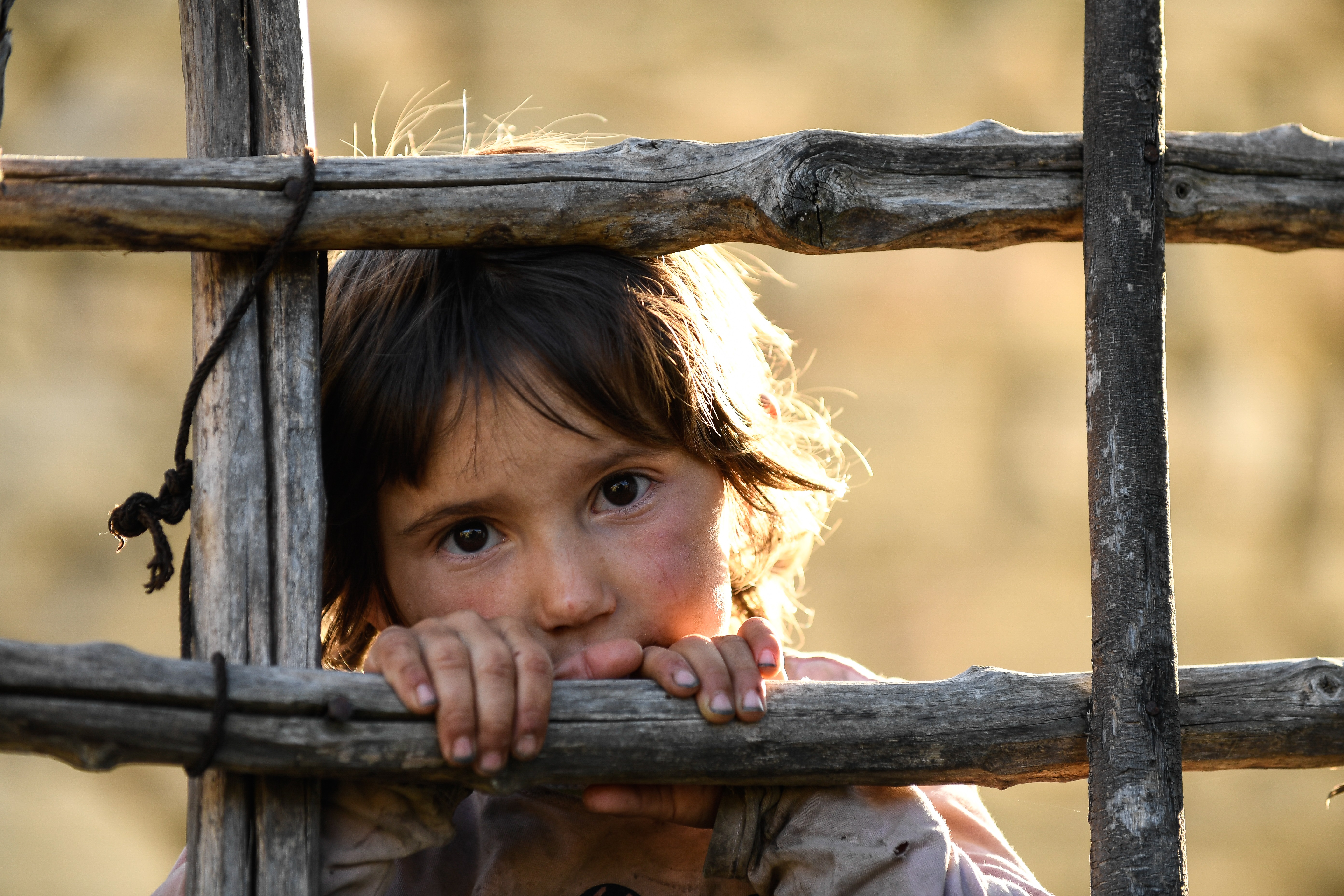 蜂蜜之地剧照的剧照