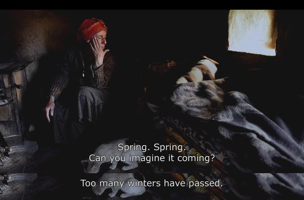 蜂蜜之地剧照的剧照