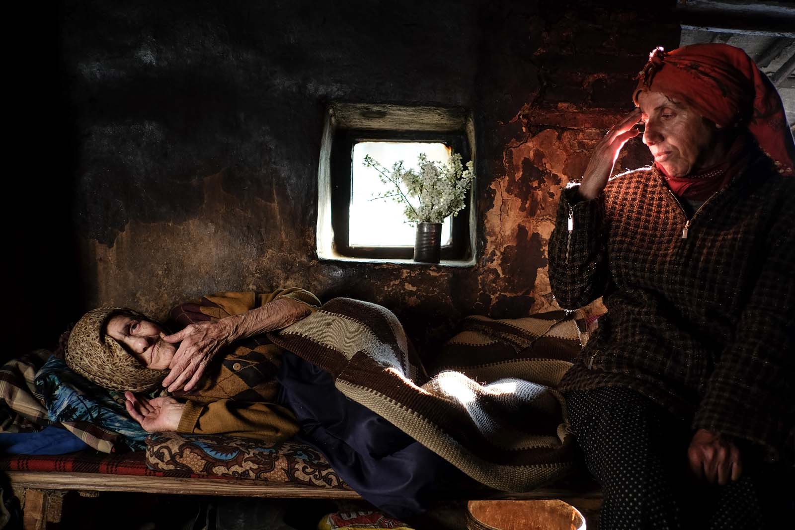 蜂蜜之地剧照的剧照