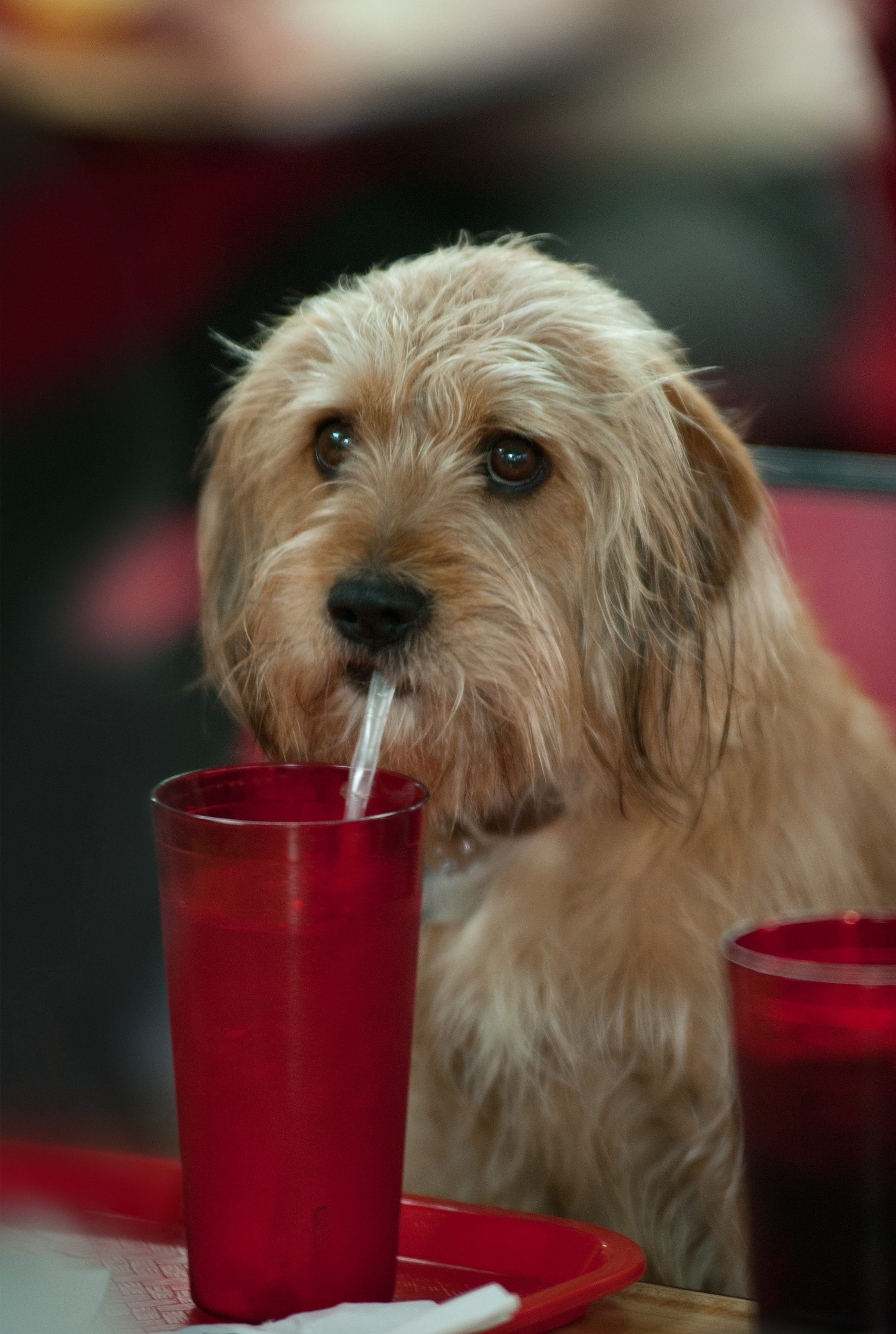 王牌播音员2剧照的剧照